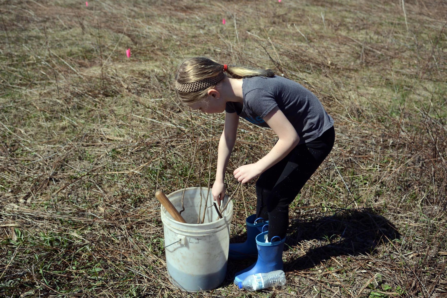 Earth Day tree planting in Baraboo Hills, April 20